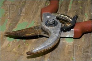 Καθαρίστε τα σκουριασμένα εργαλεία... με τσάι