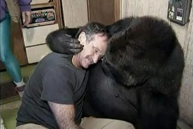 Όταν ο Robin Williams μιλούσε με έναν γορίλα... ακούστε τι του ζήτησε! (Βίντεο)