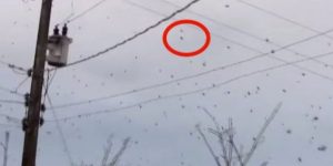 Όταν κοίταξε στον Ουρανό Νόμιζε ότι ήταν Πουλιά. Όταν Κατάλαβε ΤΙ ήταν… Πάγωσε!