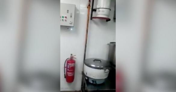 Η φρικτή σκηνή μέσα στην κουζίνα ενός Ασιατικού εστιατορίου που θα σας φρικάρει. (Video)