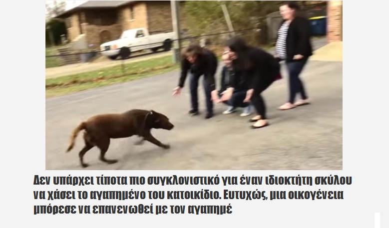 Λαμπραντόρ ήταν Χαμένο για 5 χρόνια. Δείτε πως Αντιδρά όταν Βλέπει Ξανά την Οικογένειά του (Video)
