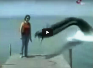 ΤΟ ΑΠΙΣΤΕΥΤΟ ΒΙΝΤΕΟ ΠΟΥ ΣΑΡΩΝΕΙ ΣΤΟ ΔΙΑΔΙΚΤΥΟ….ΠΑΝΩ ΑΠΟ 60.000.000 VIEWS