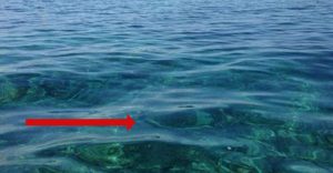 Βρίσκονταν στο Σκάφος, όταν είδαν ΚΑΤΙ να Πλησιάζει. Αυτό που Ακολούθησε είναι Δύσκολο να το Πιστέψεις.