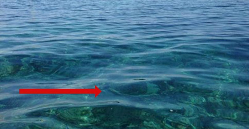 Βρίσκονταν στο Σκάφος, όταν είδαν ΚΑΤΙ να Πλησιάζει. Αυτό που Ακολούθησε είναι Δύσκολο να το Πιστέψεις.