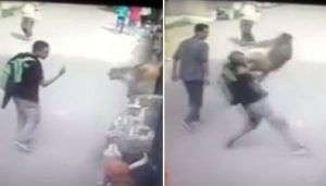 Ήθελε να το παίξει πιο έξυπνος από τη μαϊμού! Δείτε τι έπαθε μετά! (Video)