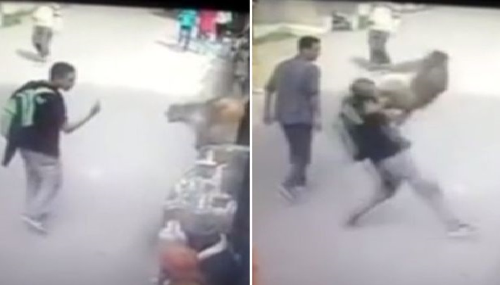 Ήθελε να το παίξει πιο έξυπνος από τη μαϊμού! Δείτε τι έπαθε μετά! (Video)