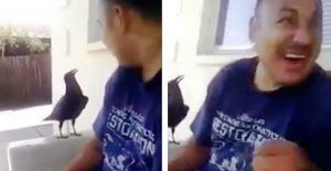 Ένα Κοράκι ήρθε και έκατσε δίπλα του. Μόλις δείτε ΠΩΣ Αντέδρασε όταν το Χαιρέτησε, θα σας πέσει το Σαγόνι!