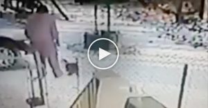 Βρήκε μια γάτα στην αυλή της και την κλώτσησε στο κεφάλι. Δείτε την εκδίκηση της ατρόμητης γάτας και θα σοκαριστείτε!