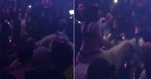 Έβαλαν άλογο μέσα σε κλαμπ και αυτό τρομοκρατήθηκε και έριξε κάτω χορεύτρια