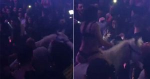 Τρομοκρατημένο άλογο μέσα σε κλαμπ έριξε από πάνω του μια χορεύτρια