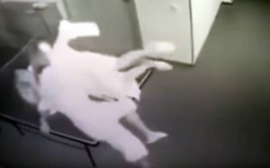 Ήθελαν να βγάλουν selfie σε ένα τραπέζι του πινγκ πονγκ και… τους κατάπιε