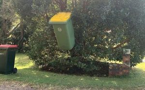 Είχαν μόνο μια δουλειά να κάνουν αλλά δεν… πέτυχε