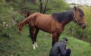 Φωτογραφίες που κοιτάς και… ξανακοιτάς