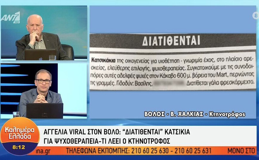 Απίστευτο κι όμως αληθινό: Κτηνοτρόφος από τον Βόλο πουλάει κατσίκια για ψυχοθεραπεία – Η αγγελία που έγινε viral