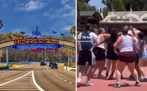 Άγριο ξύλο ανάμεσα σε δύο οικογένειες στην Disneyland – Μπουνιές και κλωτσιές για μια φωτογραφία