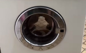 Όταν δεν έχεις πλυντήριο αλλά έχεις χιούμορ